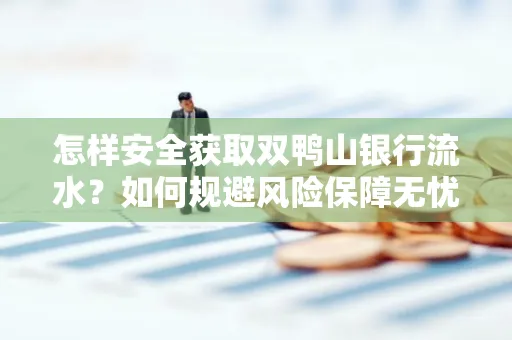 怎样安全获取双鸭山银行流水？如何规避风险保障无忧？