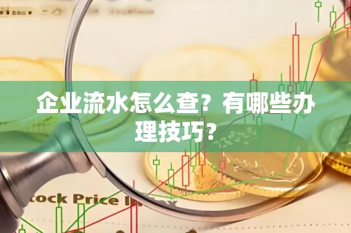 企业流水怎么查？有哪些办理技巧？